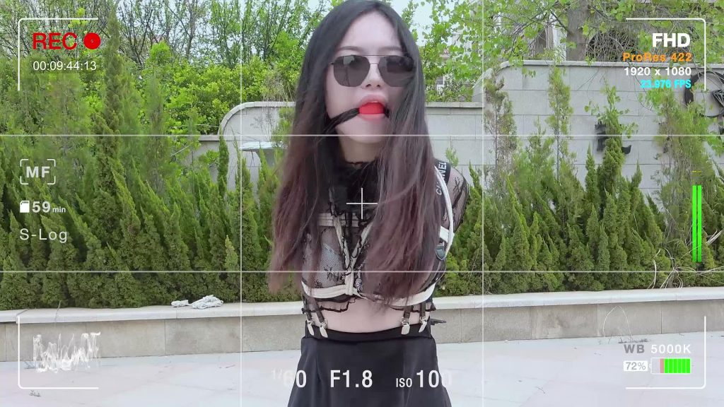 XFpicture35285